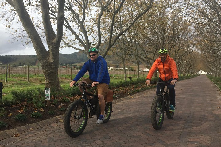 E-Bike Wine Tour Stellenbosch (Half Day) - Photo 1 of 2